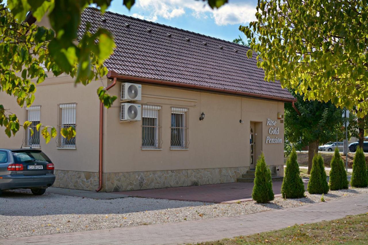 R.Gold Apartman Makó Extérieur photo